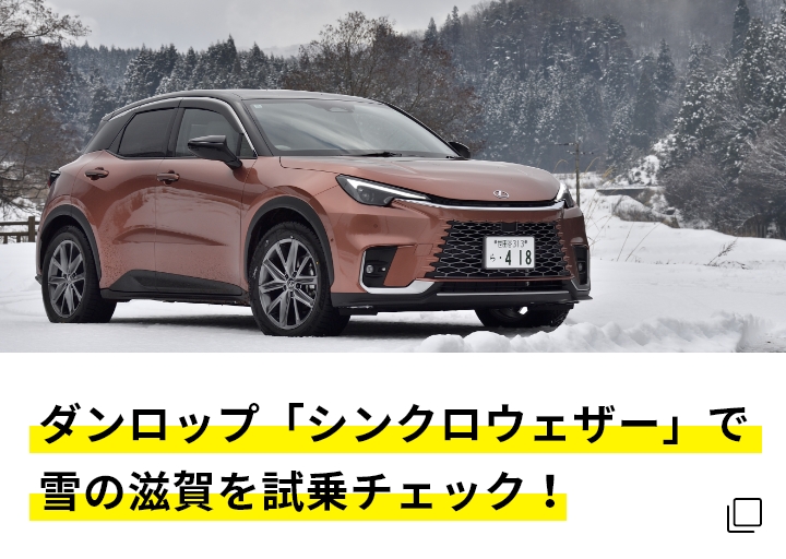 レビューサムネイル